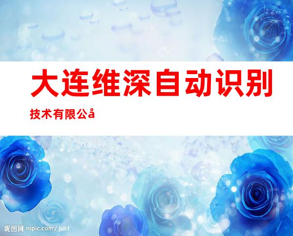 大连维深自动识别技术有限公司